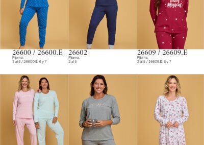 Catalogo el Vasco INV 269